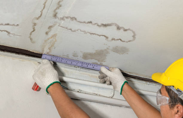 Reliable Water Damage contractor in Washburn, IL by Water Damage Irwin